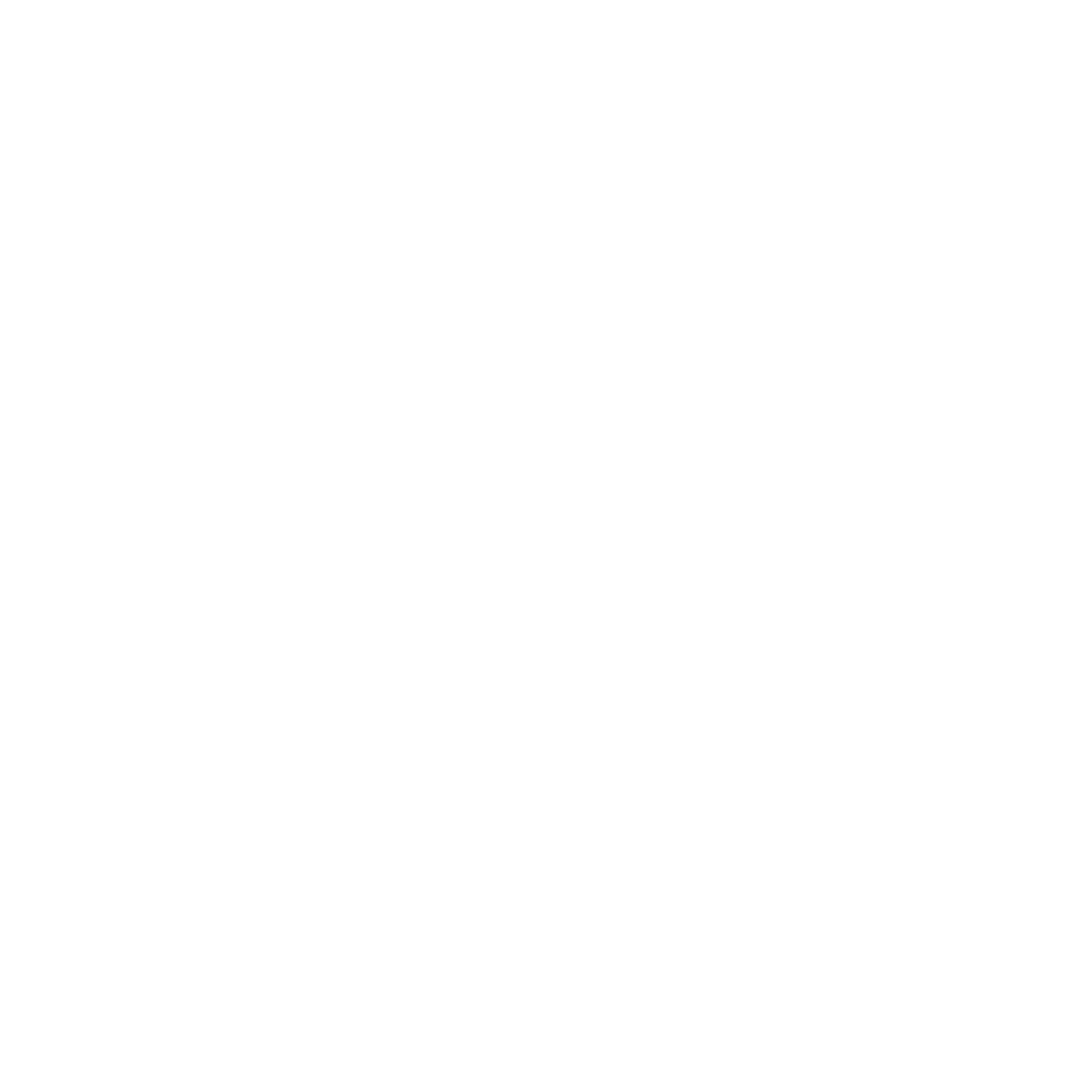 Agencia Aduanal Certificada